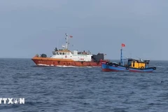 New decrees contribute to perfecting anti-IUU fishing regulations