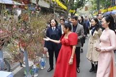 Vietnamese, Philippine first ladies tour Hanoi Old Quarter’s traditional flower market