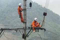 Fitch raises rating of Vietnam's northern power corporation 