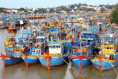  Kien Giang makes efforts to overcome EC warnings against illegal fishing