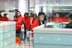 Minister affirms effective protection of overseas Vietnamese