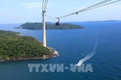 Kien Giang asked to verify information on Taiwanese tourist group in Phu Quoc
