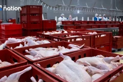 Thailand becomes world’s 3rd-largest chicken exporter