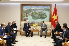 Vietnam facilitates coal-to-gas transition projects: Deputy PM 