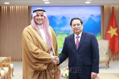 2023 - a highlight in Vietnam-Saudi Arabia relations: Ambassador