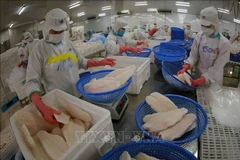 Vietnam targets 2 billion USD in tra fish exports in 2024 