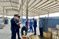 Border gate of Bac Luan 2 Bridge resumes operations after Tet early