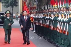 Top legislator extends Tet greetings to border guard force