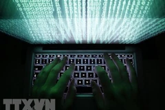 Computer viruses cause losses of 716 million USD in 2023