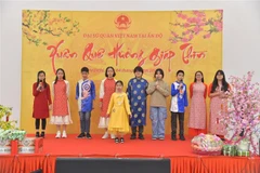 Overseas Vietnamese in India, Czech Republic indulge in Lunar New Year activities