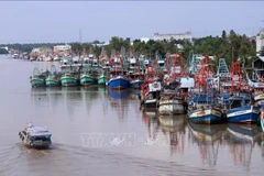 Kien Giang acts to combat IUU fishing
