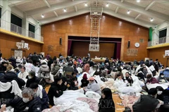 IM Japan says all Vietnamese interns under its management remain safe in earthquake 