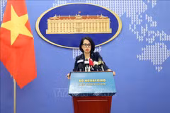 Vietnam strongly condemns inhumane attacks on int’l shipping lanes: Spokeswoman 