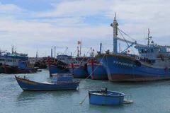 Kien Giang steps up IUU-related communication work