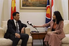 Indonesian President’s State visit to help deepen strategic partnership: diplomat