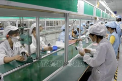 92% of labourers return to work after Tet