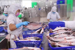 Vietnam strives to increase competitiveness for agricultural exports to US