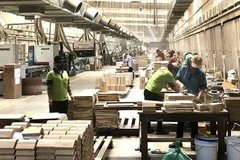 Connecting with FDI firms helps boost wood exports: insiders