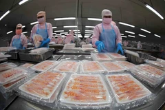 US releases preliminary conclusion on anti-subsidy probe into Vietnamese shrimp
