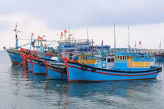 Thanh Hoa takes drastic measures to combat IUU fishing