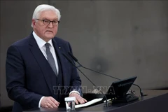 German Bundestag member highlights Germany-Vietnam ties