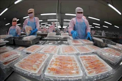 Aquatic product exports likely to hit 9.5 billion USD this year: VASEP 