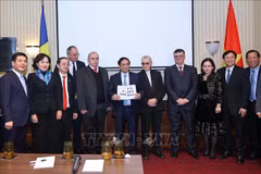Prime Minister receives representatives of Romanian friendship organisations with Vietnam