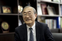 Strong cultural industries to help raise Vietnam’s regional stature: Japanese professor
