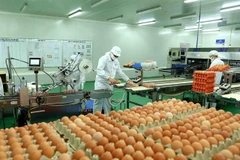 Vietnam has potential to promote livestock product exports to China