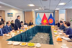 Vietnamese localities’ ties with US-based partners to be further enhanced