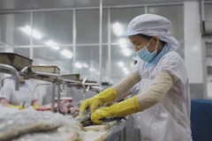 Seafood exports enjoy bright prospects in Swiss market