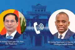 Vietnam values traditional friendship, cooperation with Benin: FM