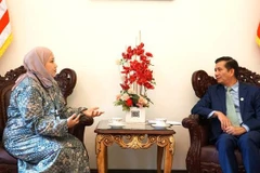 Ambassador highlights Vietnam-Malaysia comprehensive cooperation