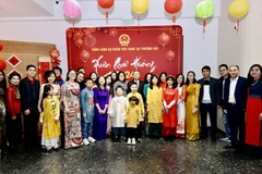 Homeland Spring programme held in Shanghai for OVs