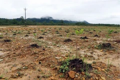2023 war aftermath alleviation efforts reviewed