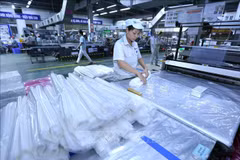 National portal for extended producer responsibility put into operation
