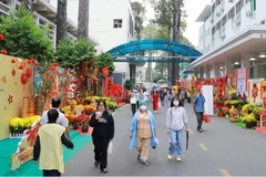 Flower streets bring spring to patients in HCM City