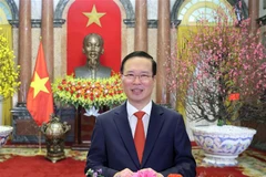 Lunar New Year greeting message by State President Vo Van Thuong