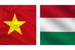 PM’s visit to bolster Vietnam - Hungary comprehensive partnership: Ambassador