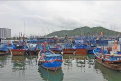 Khanh Hoa ramps up vessel control in anti-IUU fishing efforts