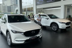 Auto sales plunge despite registration fee cut by half