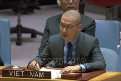 Vietnam renews appeal for immediate ceasefire in Gaza Strip