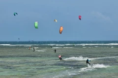 Vietnamese holidaymakers prioritise domestic tourism during Tet holiday: report