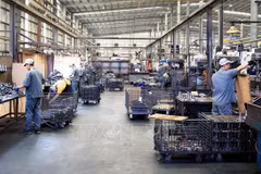 Bright prospects for FDI attraction in 2024