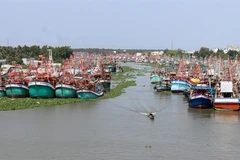 Enterprises want clearer regulations on seafood production