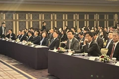 Conference calls for Japanese investment in Vietnam’s stock market