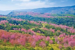 Thailand’s Phitsanulok province turns into tourist attraction