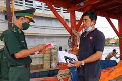 Kien Giang works hard on supervising origin tracing of fish catches