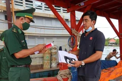 Kien Giang works hard on supervising origin tracing of fish catches