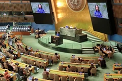 Vietnam strongly committed to promoting gender equality, women's rights: Ambassador